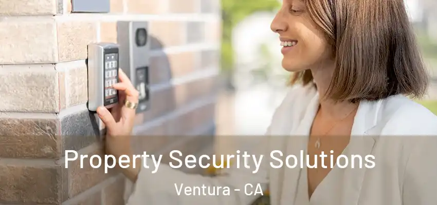  Property Security Solutions Ventura - CA